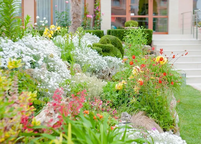 Family Vega 3* Святые Константин и Елена