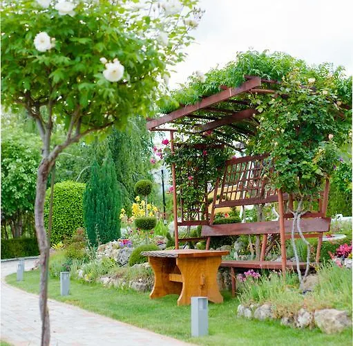 Отель Family Vega 3*