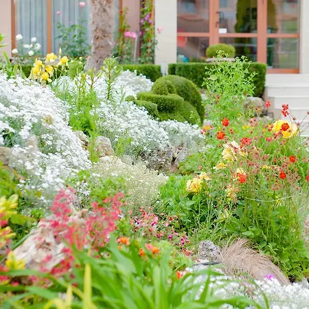 Family Vega 3* Saints Constantine and Helena