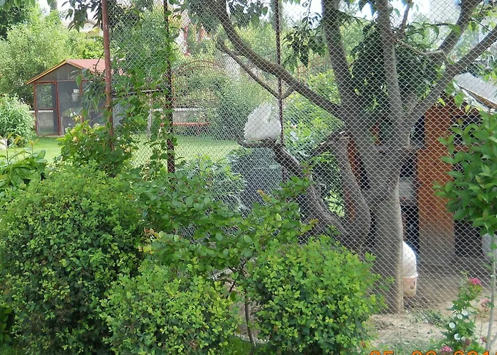 Family Vega 3* سينتس قسطنطين وهيلينا