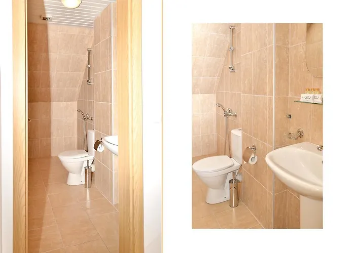 Family Vega سينتس قسطنطين وهيلينا